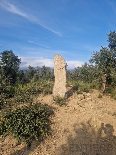1000002292.jpg