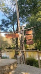 IMG-20241110-WA0013