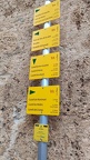 IMG-20241110-WA0015