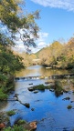 IMG-20241110-WA0021