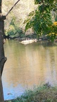 IMG-20241110-WA0022