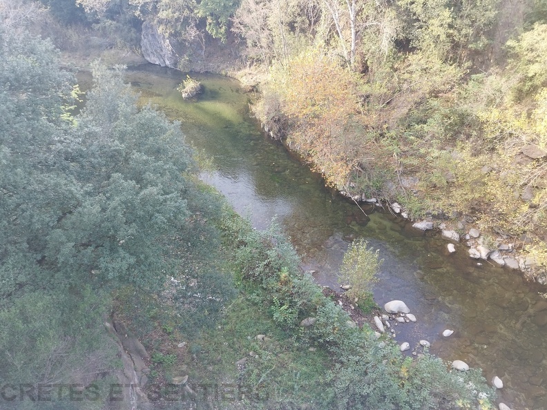 IMG_20241114_154535.jpg