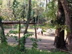IMG 20241121 142108