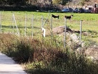 IMG 20241121 143056