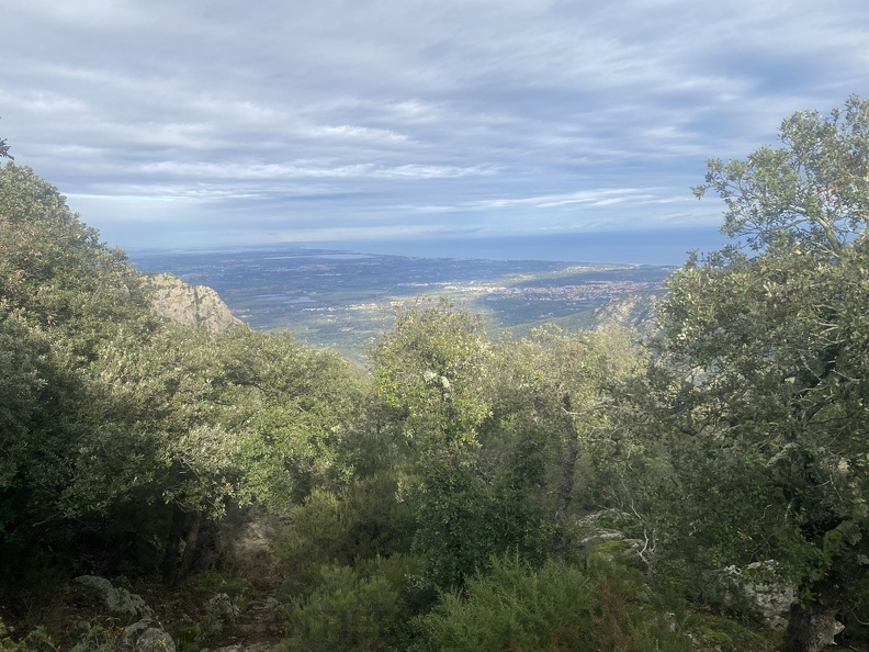 IMG_3745.jpeg