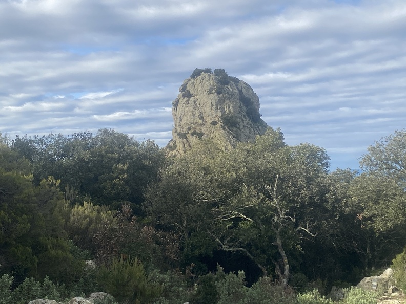 IMG_3740.jpeg