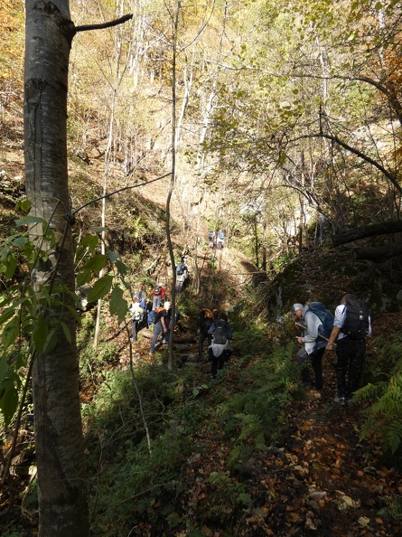 P1000320.JPG