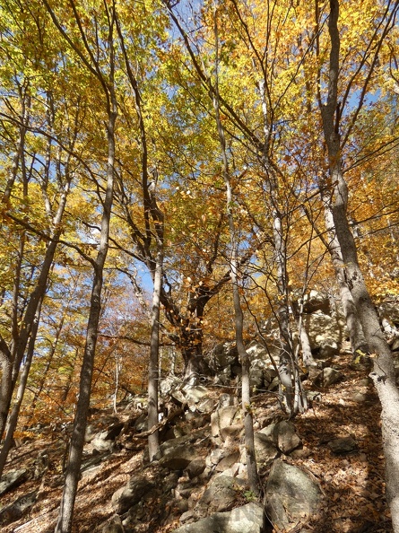 P1000324.JPG