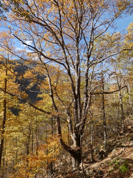 P1000325.JPG