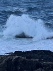 IMG 3297