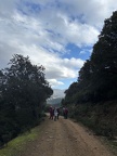 IMG 3403