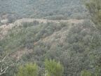 P1000591