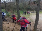 ansignan 11