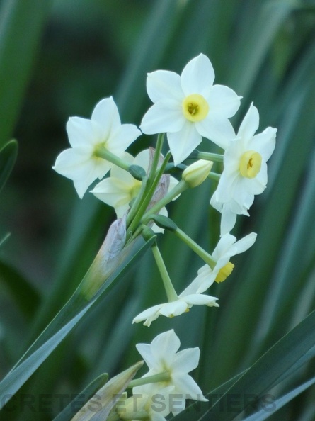 argeles_20.jpg