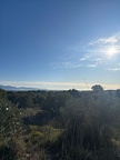 molins 04