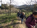 corberes 35