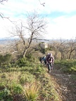 corberes 36