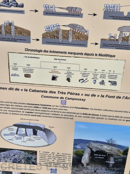 campoussy_35.jpg