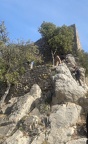 roca pastora 33