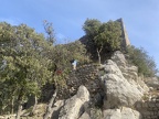 roca pastora 34