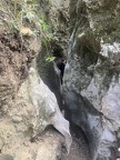 roca pastora 38