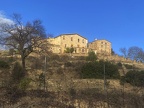 roca pastora 40