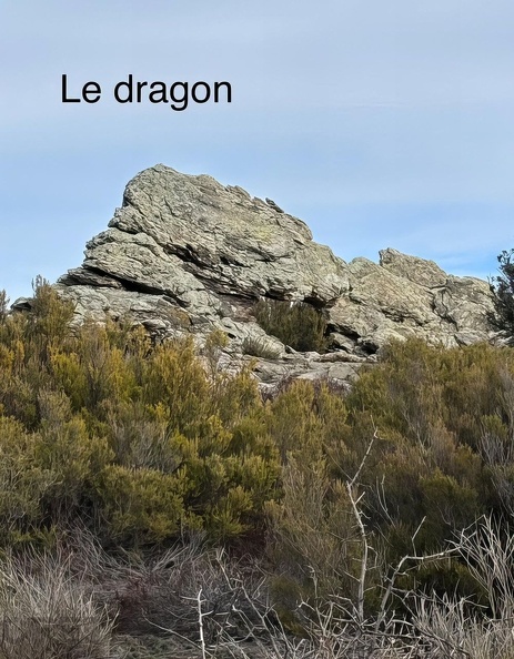 9_fevrier_14.jpg
