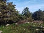Chapelle Sant Cristau 14
