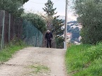 banyuls 18
