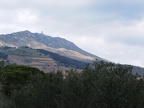 banyuls 20