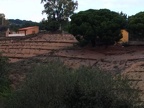banyuls 19