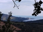 banyuls 25