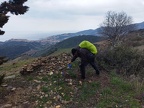 banyuls 29