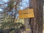 30 st martin canigou 65