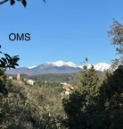 06 oms 01