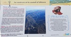 01 roca dalbera 08