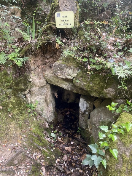 01mataporcs_07.jpg