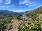 07 banyuls 12