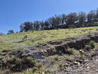 07 Torderes