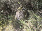 26 llauro 14