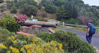 02 port vendres 02